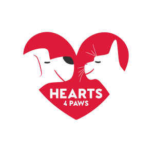 Read more about the article Hearts4Paws Homepage jetzt online