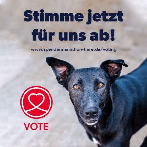 Read more about the article *BEENDET* VETO Spendenmarathon 2022