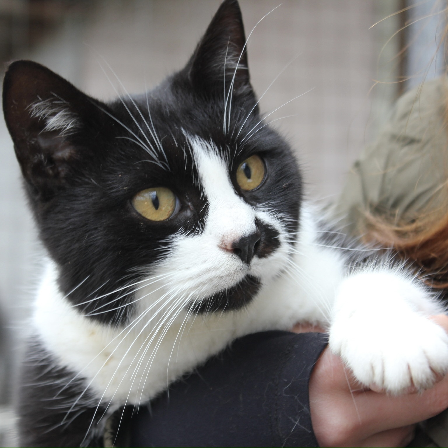 Sie betrachten gerade Hana (w, geb. ca. 05/21)