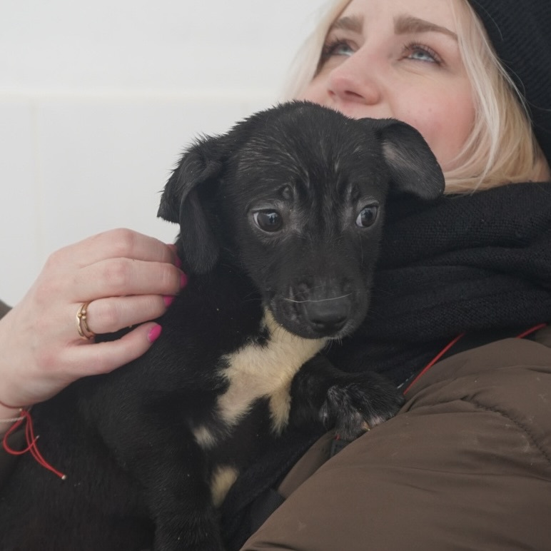 Sie betrachten gerade Sandy (w, geb. ca. 10/25)