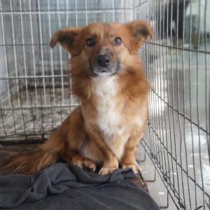 Mehr über den Artikel erfahren Robert (m, geb. ca. 2024)