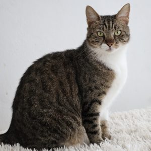 Mehr über den Artikel erfahren Jakob (m, geb. ca. 11/23)