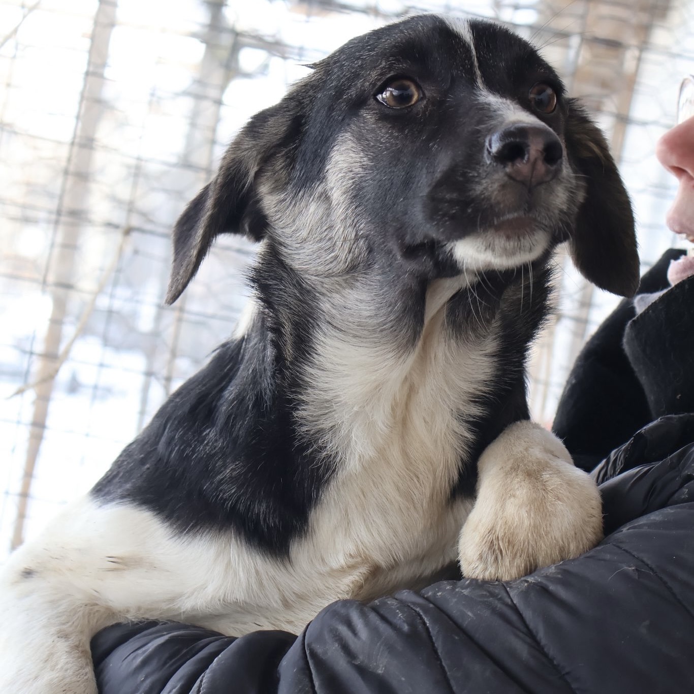 Sie betrachten gerade Natascha (w, geb. ca. 10/25)
