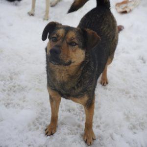 Mehr über den Artikel erfahren Maggie (w, geb. ca. 02/23)