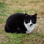 DSC00158