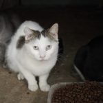 DSC00503