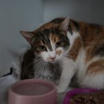 DSC06441