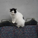 DSC07097
