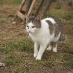 DSC08607