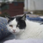 DSC08667