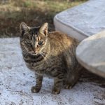 IMG_1504 Kopie