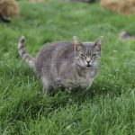 IMG_1529