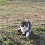 IMG_1545