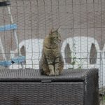 IMG_1597