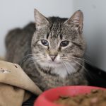 IMG_1709