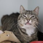 IMG_1714