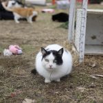 IMG_2177