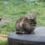 IMG_2540