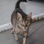 IMG_2602