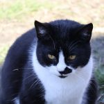 IMG_2755