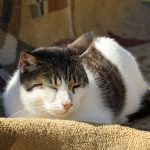 IMG_2772