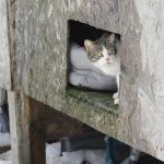 IMG_3093