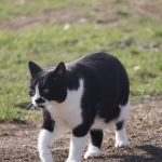 IMG_3224
