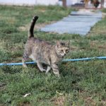 IMG_3537