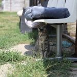 IMG_3566