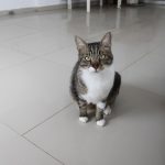 IMG_3826