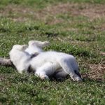 IMG_3877