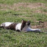 IMG_3880