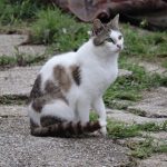 IMG_4495