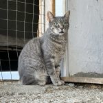 IMG_4835