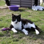 IMG_6651