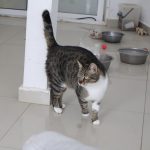 IMG_6695
