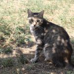 IMG_8047