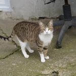 DSC06528