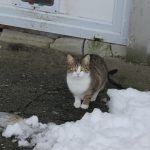IMG_3053