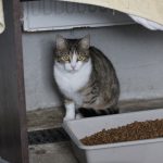 IMG_3060