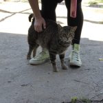 IMG_4042
