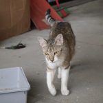 IMG_8072