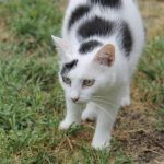 IMG_2521