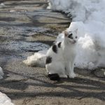 IMG_3339