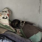 IMG_9579 Kopie